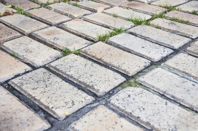 Brick Flatwork Repair in Birch Run, MI